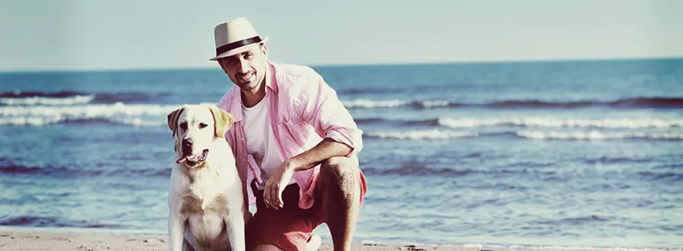 A dog and its owner on a beach