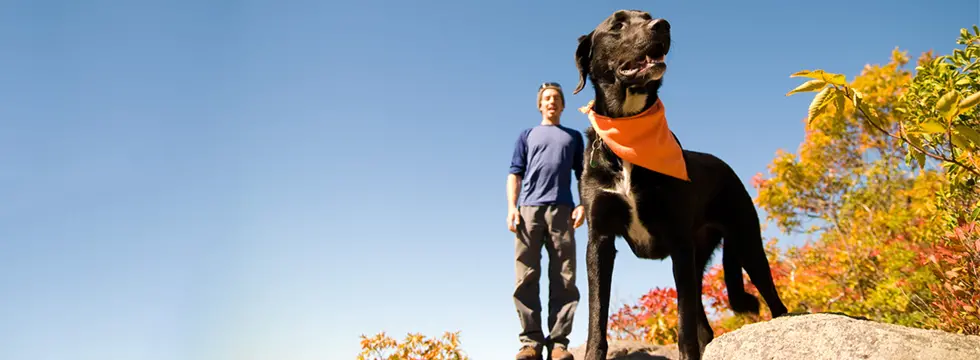 A dog with a bandana and is owner on a hike