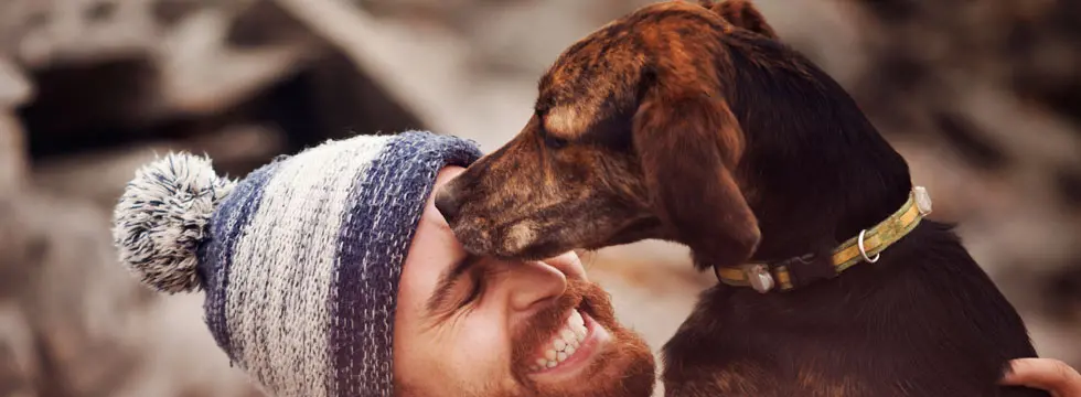 A dog sniffing the face of its smiling owner