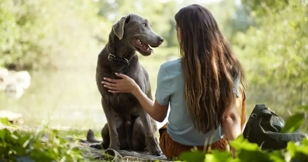 A woman petting a dog while they sit on a picnic blanket