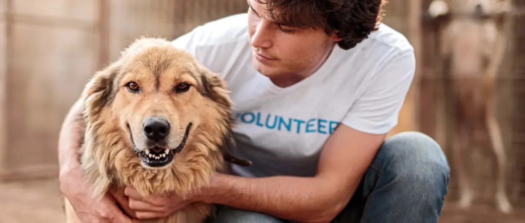 A volunteer holding a dog