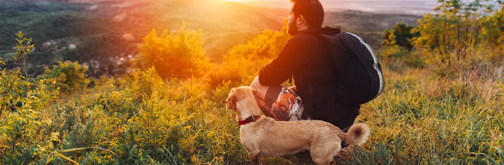 A dog and its owner on a hike