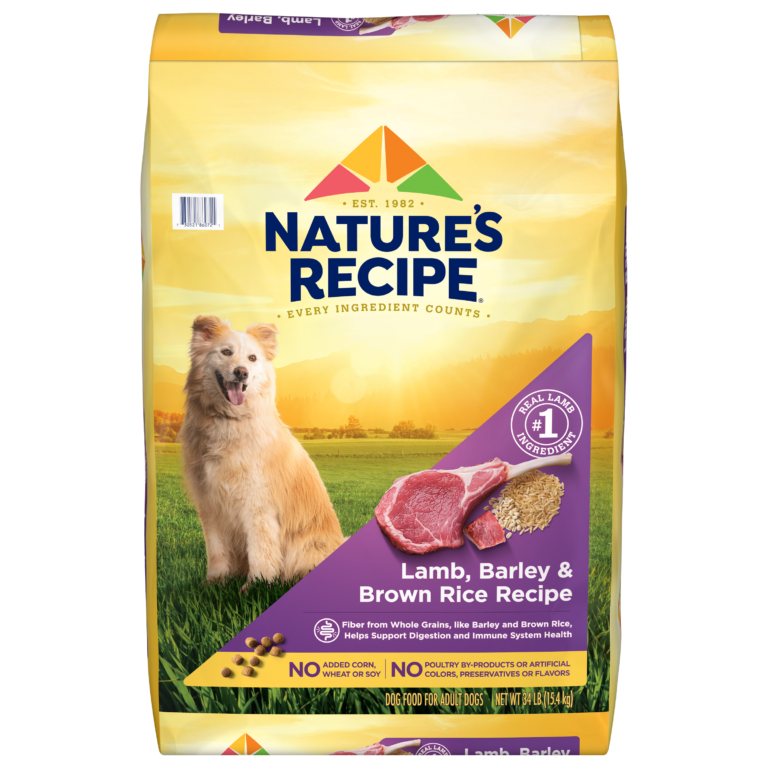 Natures Recipe Lamb And Rice