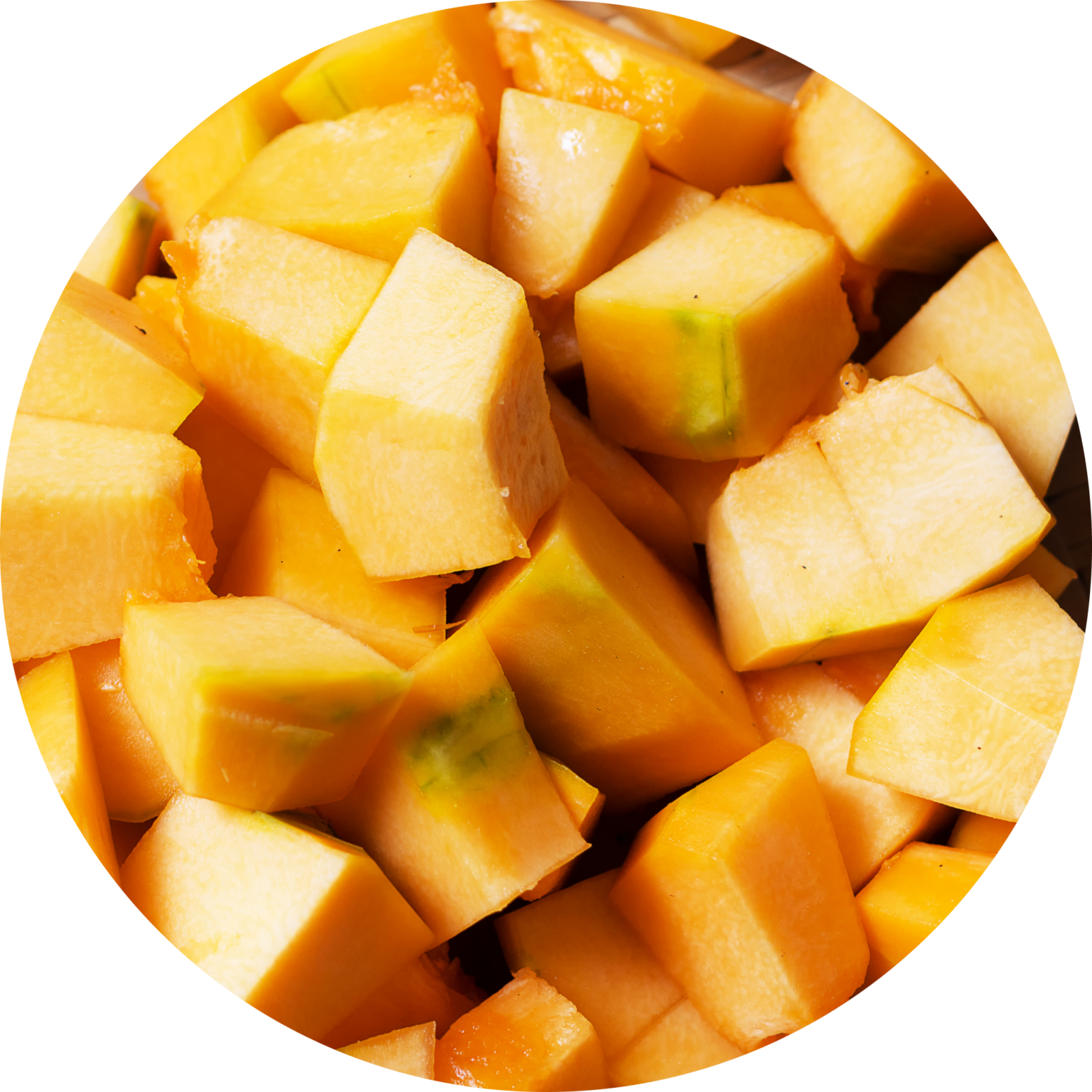 A closer look at Grain Free Prebiotic Dog Food With Pumpkin