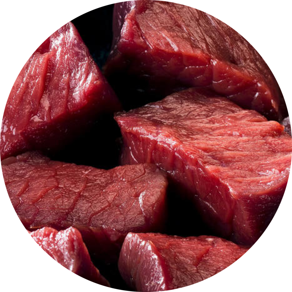 venison